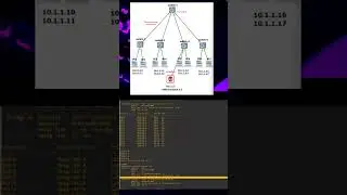 How to prevent STP root attack?  