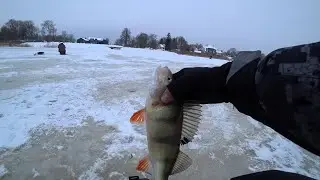 Первый лёд на реке. ЗИМНЯЯ РЫБАЛКА! Ловля на мормышку.