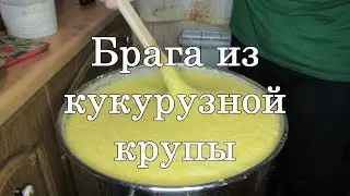 Брага из кукурузной крупы