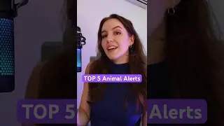 TOP 5 Animal Stream Alerts (cute & spooky!)