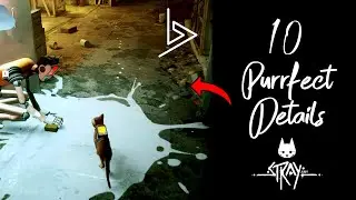 10 Purrfect Details in STRAY (2022)