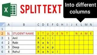 split text into different cell column in excel | character spacing