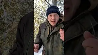 не трогай это дерево иначе...
