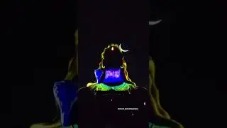 Shiva Shiva Om nama shivaya 🔥🔥👹👹👹👹👹👹👹👹