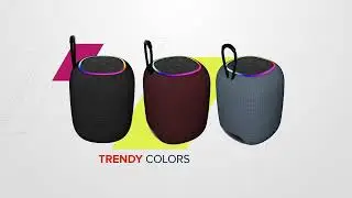 Portable wireless speaker BSP-8 by Canyon