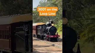 3001 on the Loop Line #shorts #train #railway #subscribe #viral #trending #aussie #steamtrain