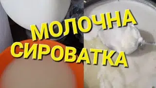 Готуємо молочну сироватку до сезону! 