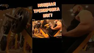 Тренировка НОГ