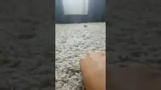 Что я снимаю?