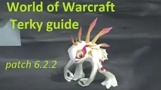 WoW - Terky guide