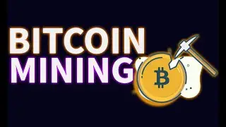 The truth behind Bitcoin's mining network