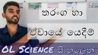 OL Science Sinhala | තරංග හා ඒවායේ යෙදීම් (Waves and Their Applications) | Grade 11