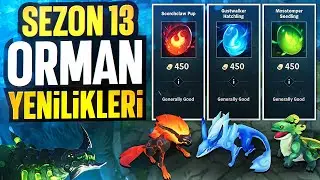 Sezon 13: Yeni Orman Rolü Rehberi (Detaylı Anlatım) | KassadinsCreed