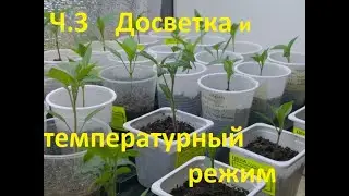 Досветка и Температурный режим. Этап - 10. (Выращиваем рассаду дома Ч-3.)