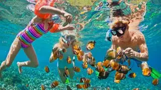 Miami Family Snorkeling