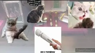 про пацана.(о пагубном:.. наркота.. тюряга... болезни... (связь с реальностью случайна)