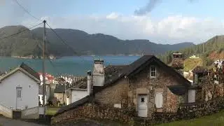 O Vicedo