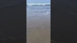 Shipwreck Beach in Oregon