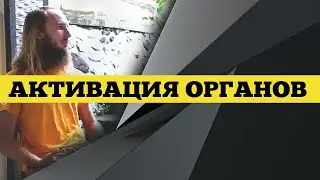 #9 Висцеральный массаж