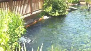 iPhone 4 HD video recording test