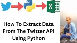 Twitter API Data Extraction with Python - Step by Step Guide 