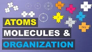 Atoms, Molecules & Organization