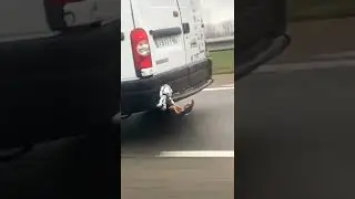 прикольная тема для автолюбителей 
