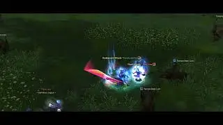 Silkroad Online - How To Be Brainless (TRUE FACE of LOSER)