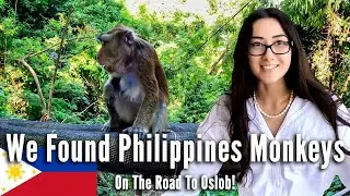 We Found Monkeys On The Way To Oslob Philippines! Bianca So Excited
