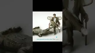 Lágrimas de crocodilo - Wiu (para status)