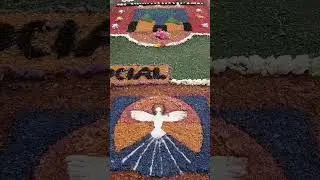 Tapete de Flores em Porto de Mós, Portugal