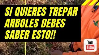Nudo para trepar árboles