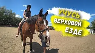 VLOG / Ипподром имени С. М. Буденного / Катание на лошадях