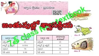 AP TS tet/DSC 2024|new syllabus|7th class శ్వాసక్రియలో వాయువుల పరిమాణం|జంతువుల్లో శ్వాసక్రియ