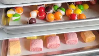 Candy Run Harvest Right Freeze Dryer (Skittles, Starburst, Candy Corn)