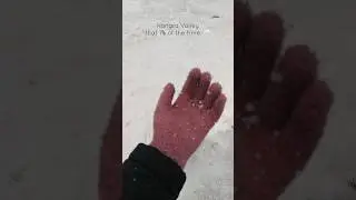 #kangra #snowfall #bir #billing