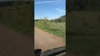 29 мая 2024 г.