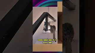 FOTOS QUE PROVAM QUE GATOS SÃO NINJAS NA CAMUFLAGEM #shorts #curiosidades