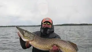 120cm