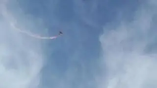 The United States Army Parachute Team, the Golden