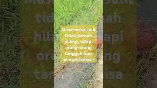 Orang yang t4ngguh