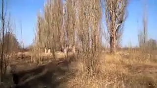 Аэродром Купянск Куриловка  вч 36769 вч 32829 12\03\17 ч9