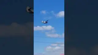 самолёт ан 2 кукурузник ROADCONTROL