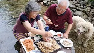 집옆 계곡에서 발 담그고 먹는 닭백숙 먹방 (대박이, 마루 닭고기 먹방) Whole Chicken Soup Mukbang / Korean Food Recipes