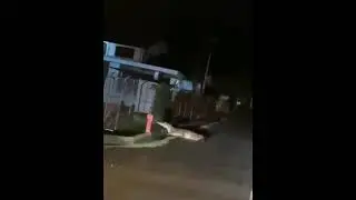 JEMPUT DEPAN GANG