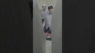 мавлид