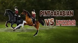 Arabian VS Lipizzaner | Speedtest | Star Stable Online