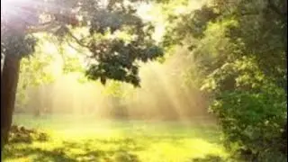 Что в Вашу Жизнь Стремительно ворвётся?! 💯☘️🌞