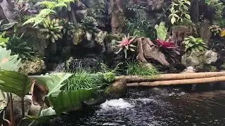 Nhạc thư giãn buổi sáng