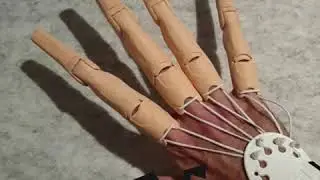 Articulated fingers